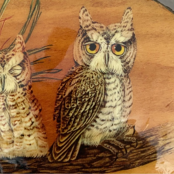 Vintage MCM Cappelli Straworld Wicker Purse w/ Owls on Wood Lid - Picture 6 of 15